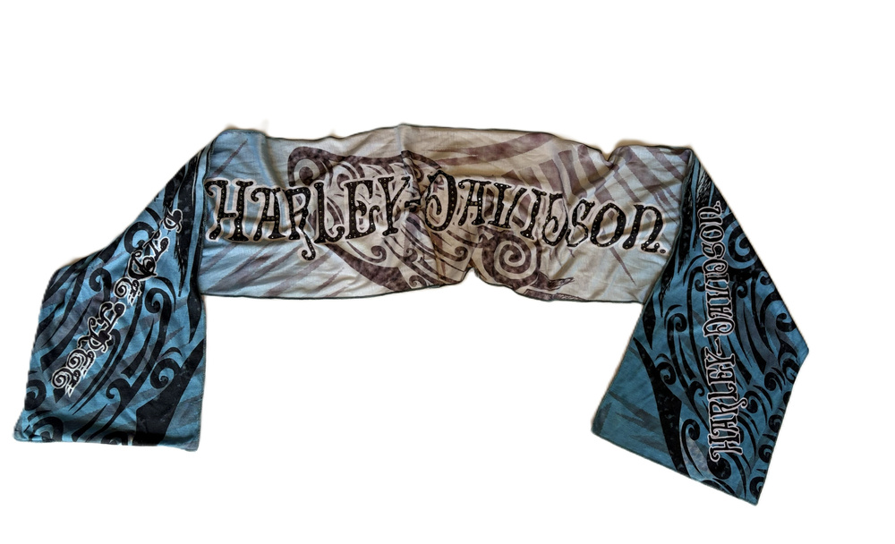 Harley-Davidson Scarf Blue Brown Embellished Logo Print One Size